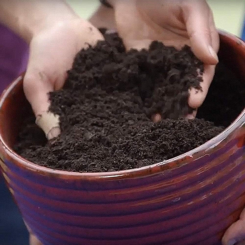 2 cu ft Organic Raised Bed Mix K272