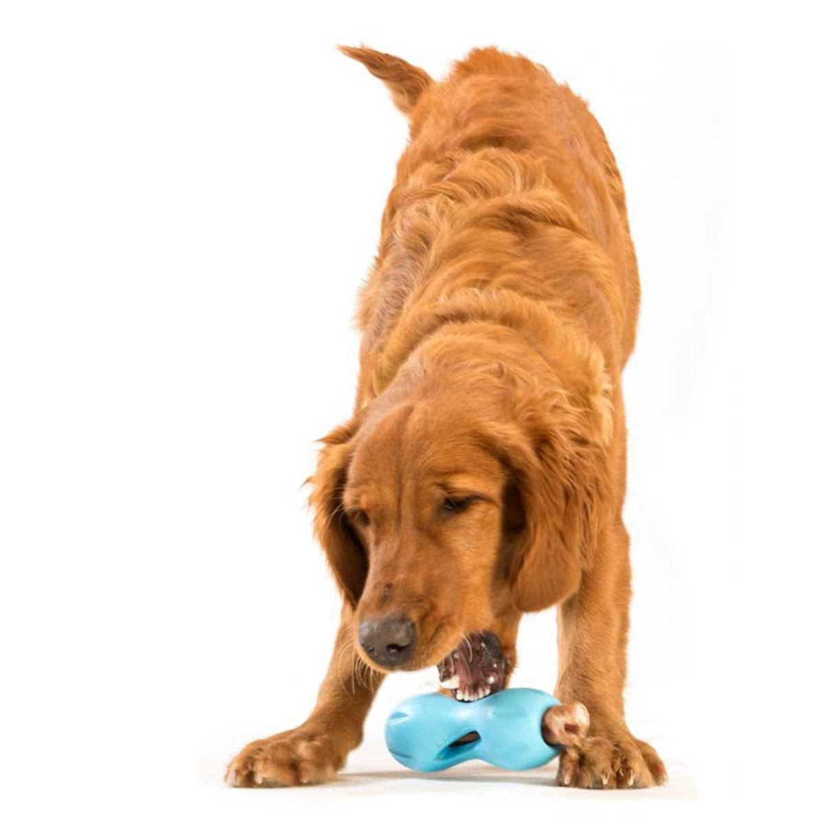Dog Toy C82593