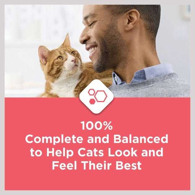 Cat Chow Complete with Salmon High Protein Dry Cat Food F681703