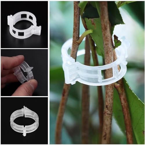 100Pcs Plant Support Clips J690230