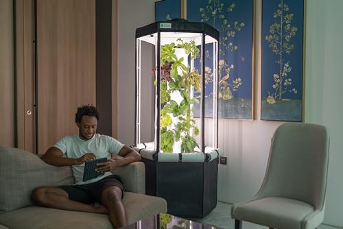 Indoor Hydroponic Growing System with Grow Tent, 150W LED Grow Lights, Fan & Wheels N13961