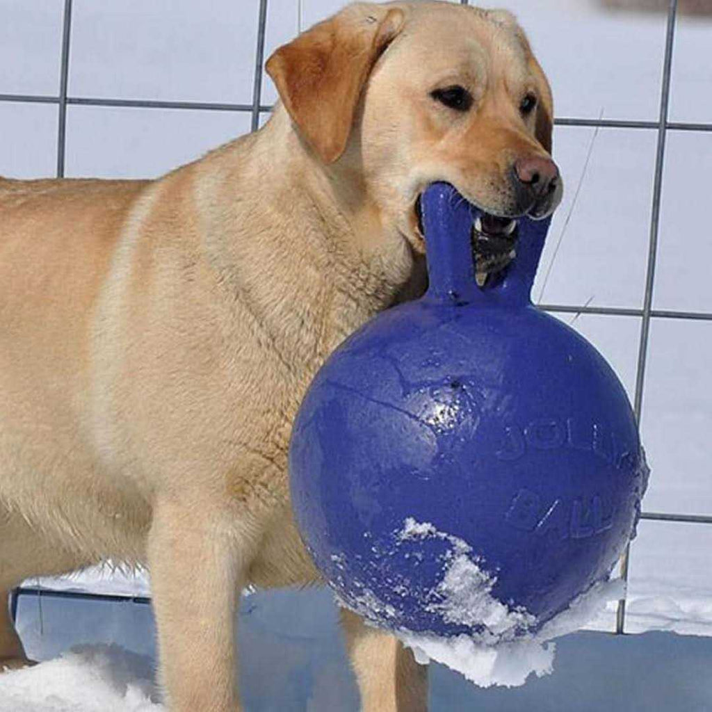 Tug N Toss Ball B55895