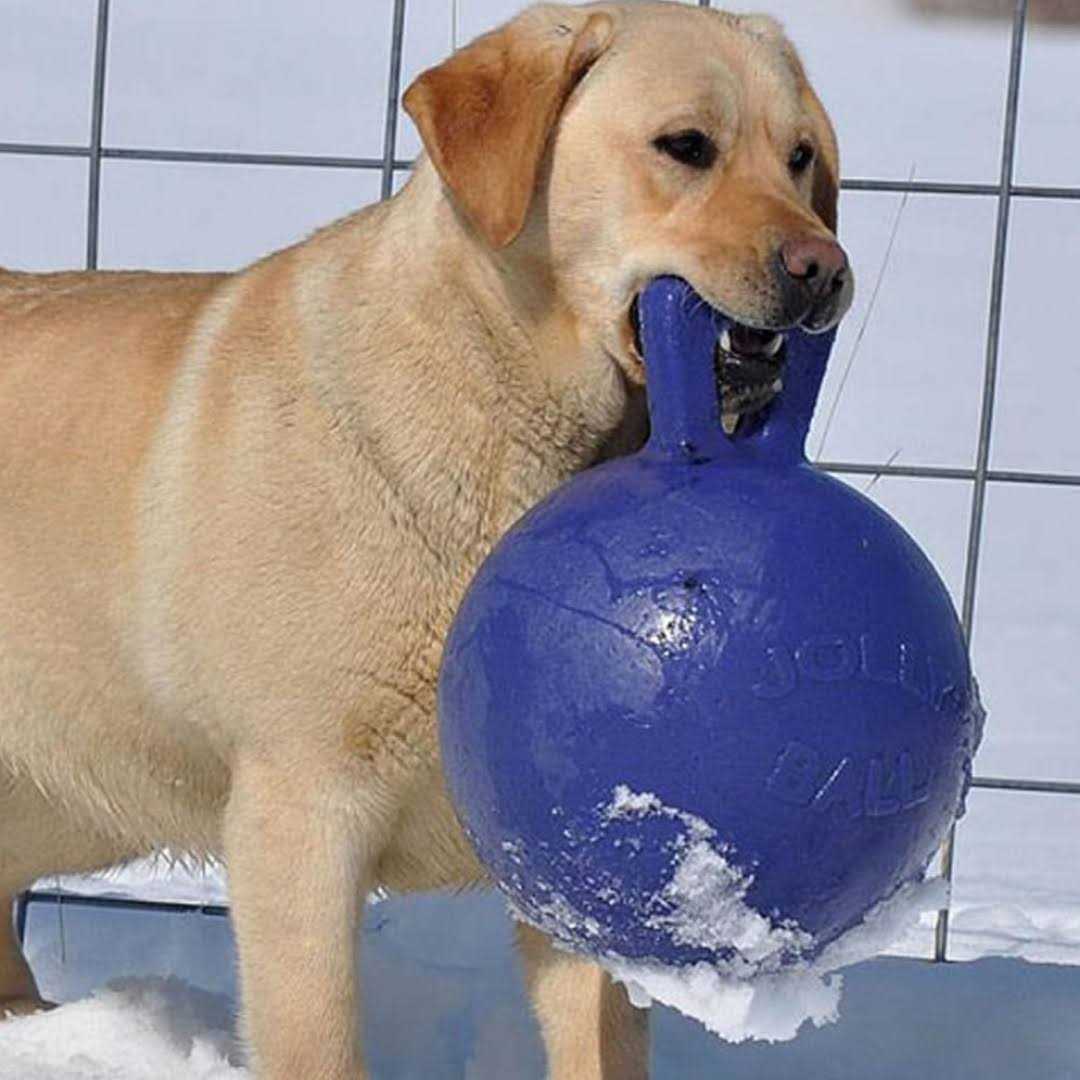 Tug N Toss Ball B55895