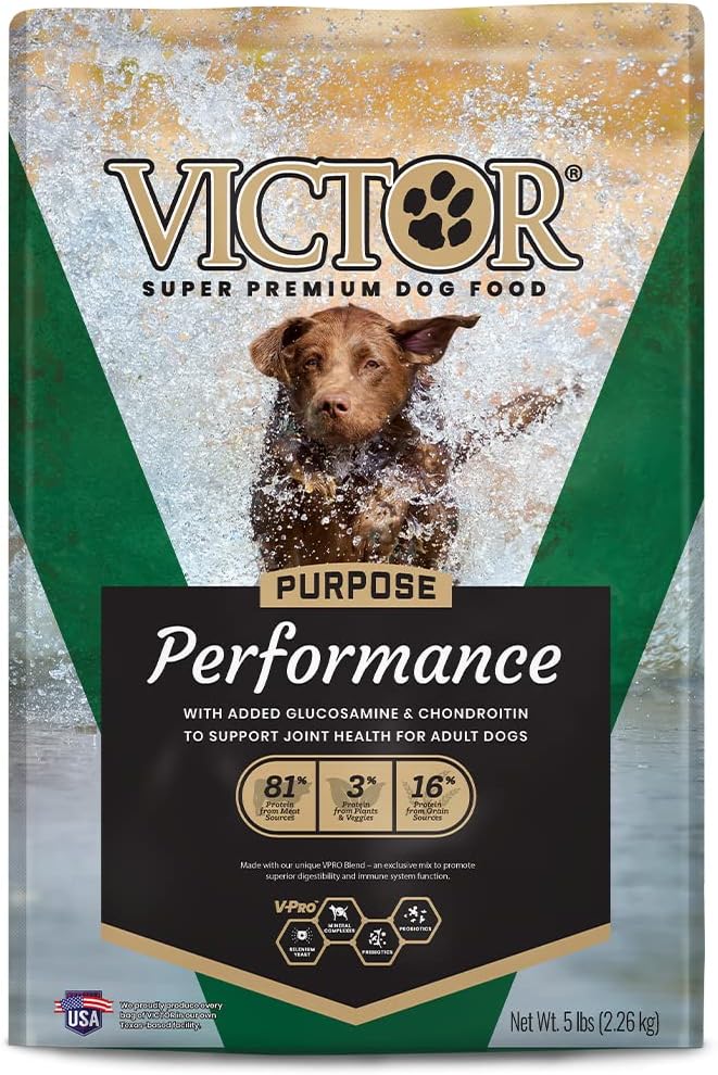 Performance Dry Dog Food, 26% Protein, 5lbs I481743