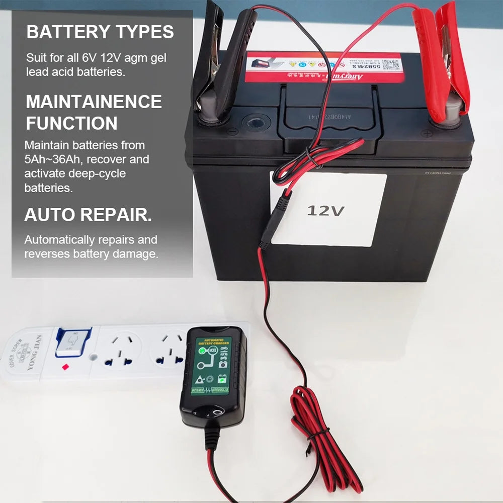 6V 12V Automatic Battery Charger Maintainer H9533