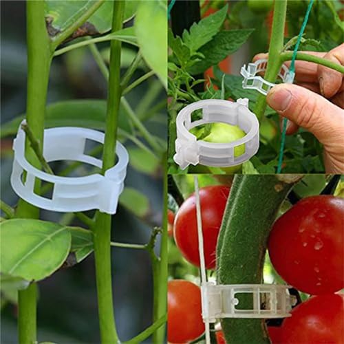 100Pcs Plant Support Clips J690230