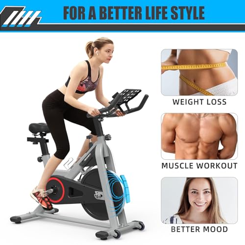 Exercise Bike with LCD Monitor and 35 LBS Flywheel U2017