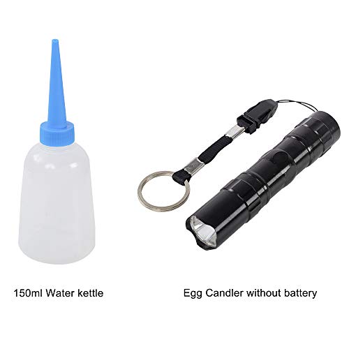 48 Egg Incubator with Automatic Egg Turning Y668