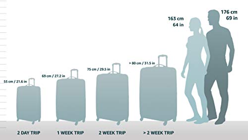 Black Large Upright Wheeled Carry-On X418392