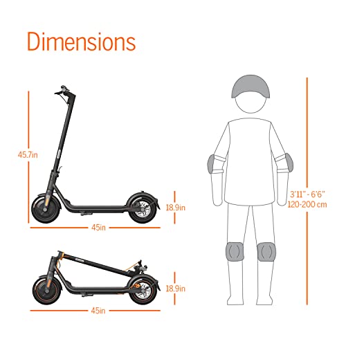 Electric Scooter with Dual Brakes L750