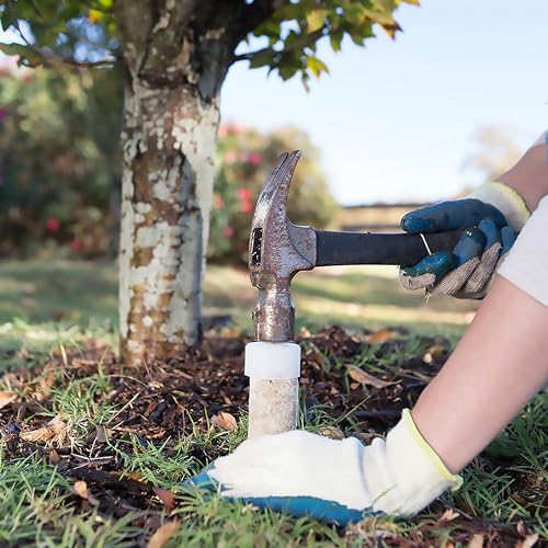 15 Count Slow Release Fertilizer Spikes for Fruit and Citrus Plants S7846