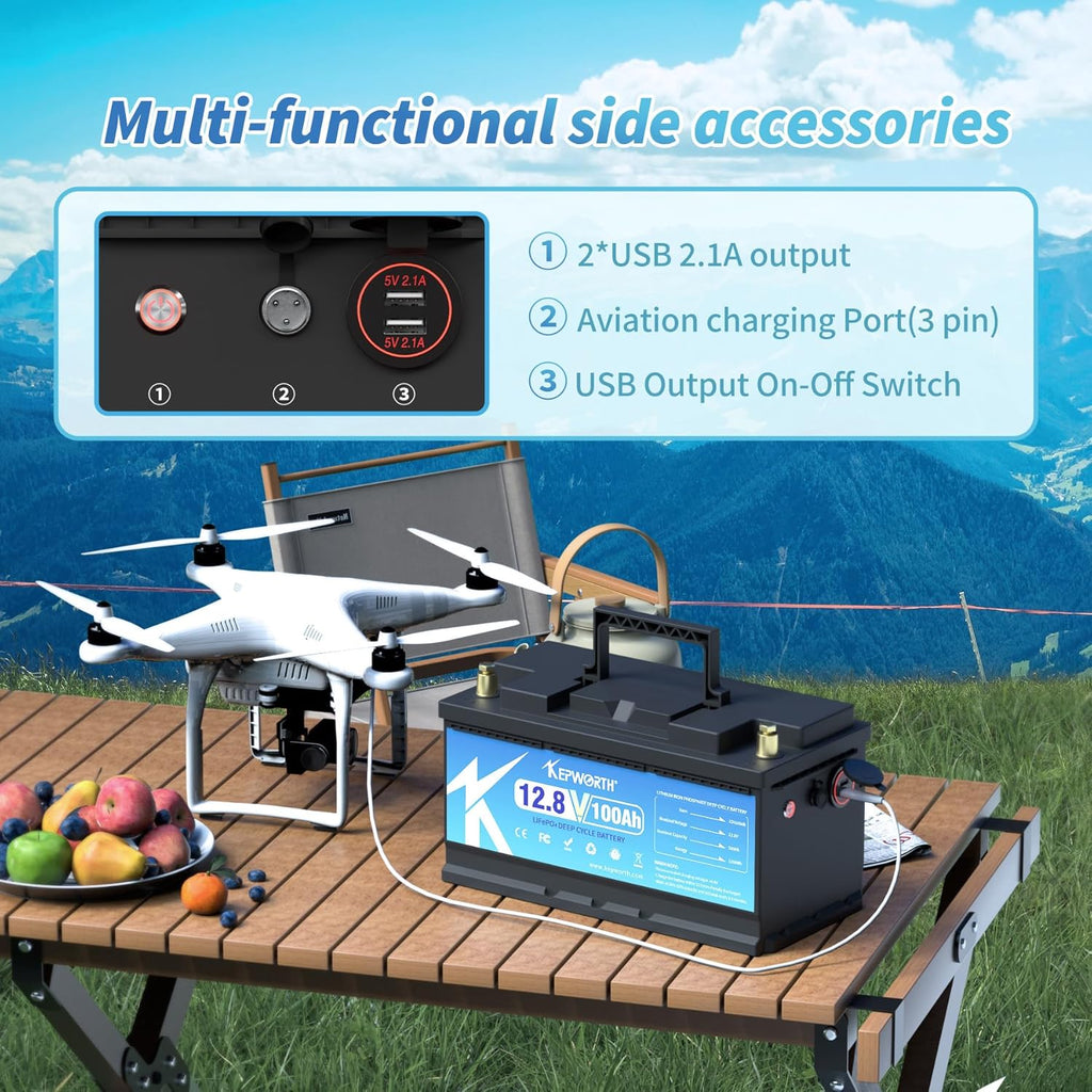 12V 100Ah LiFePO4 Battery with 100A BMS F32002