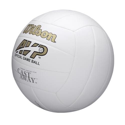 Mini and Official Size Volleyballs N6651
