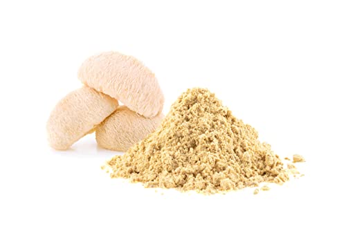 Organic Lion's Mane Mushroom Powder, 1 Pound O152