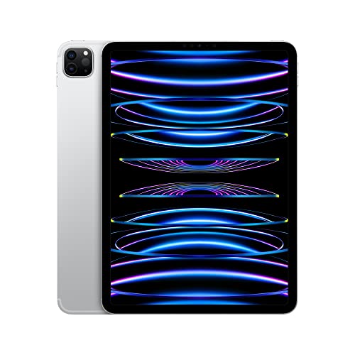 11-inch Wi-Fi 128GB Space Gray iPad Pro U961498