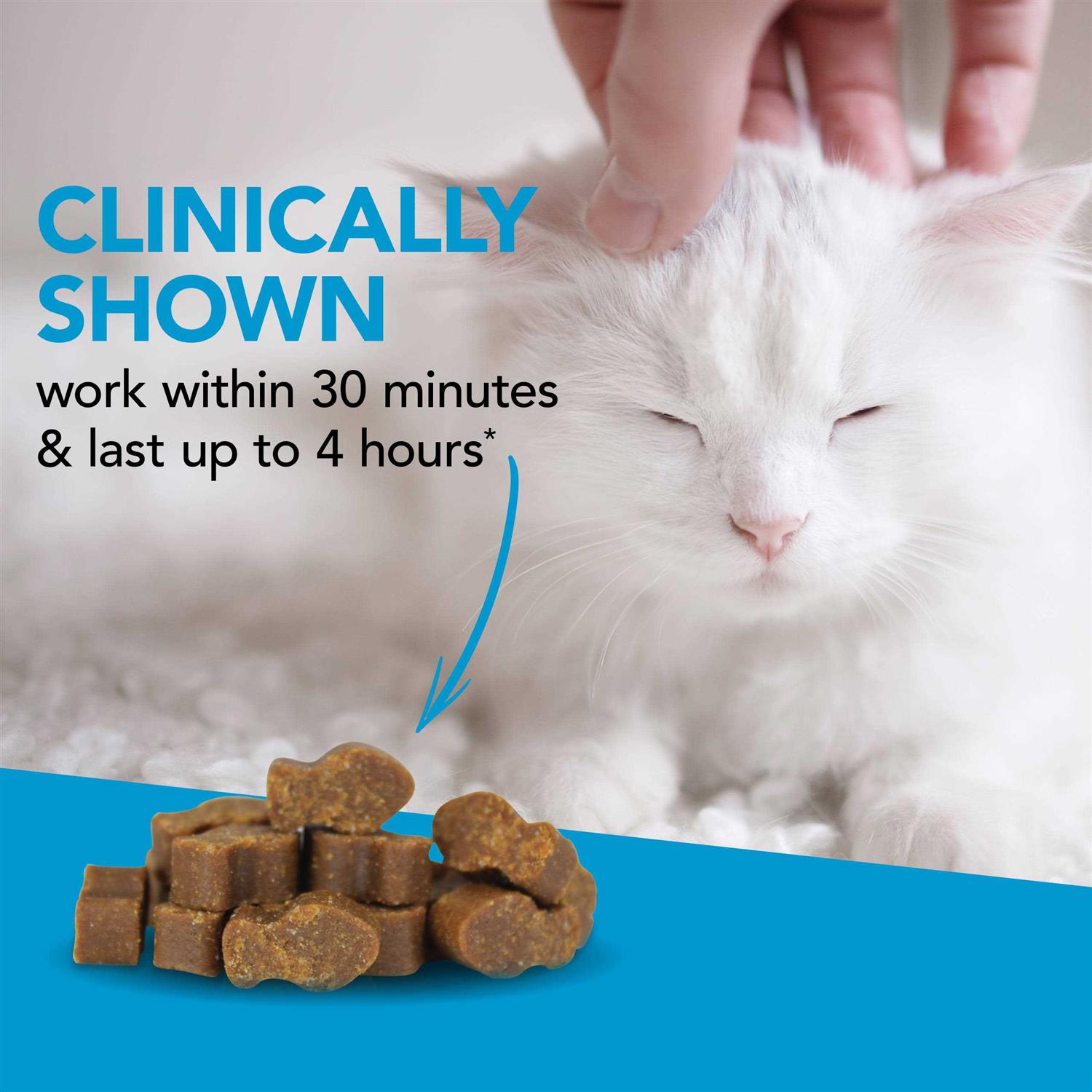 Composure for Cats T4617