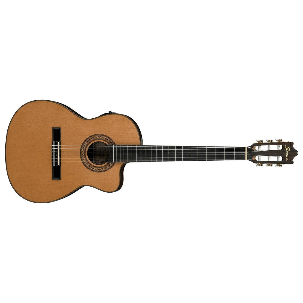 Classical Thinline Acoustic-Electric Guitar W1852