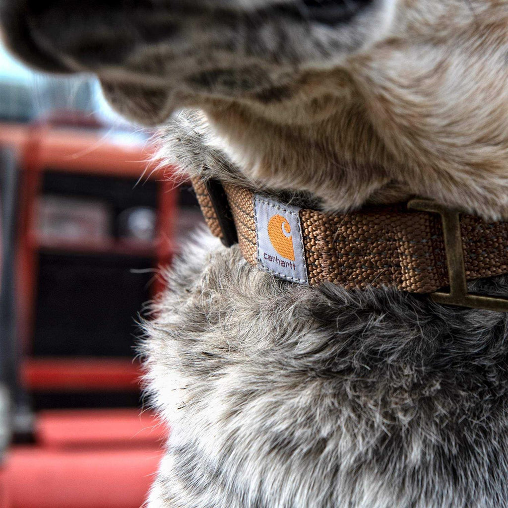 Carhartt Tradesman Dog Collar B902
