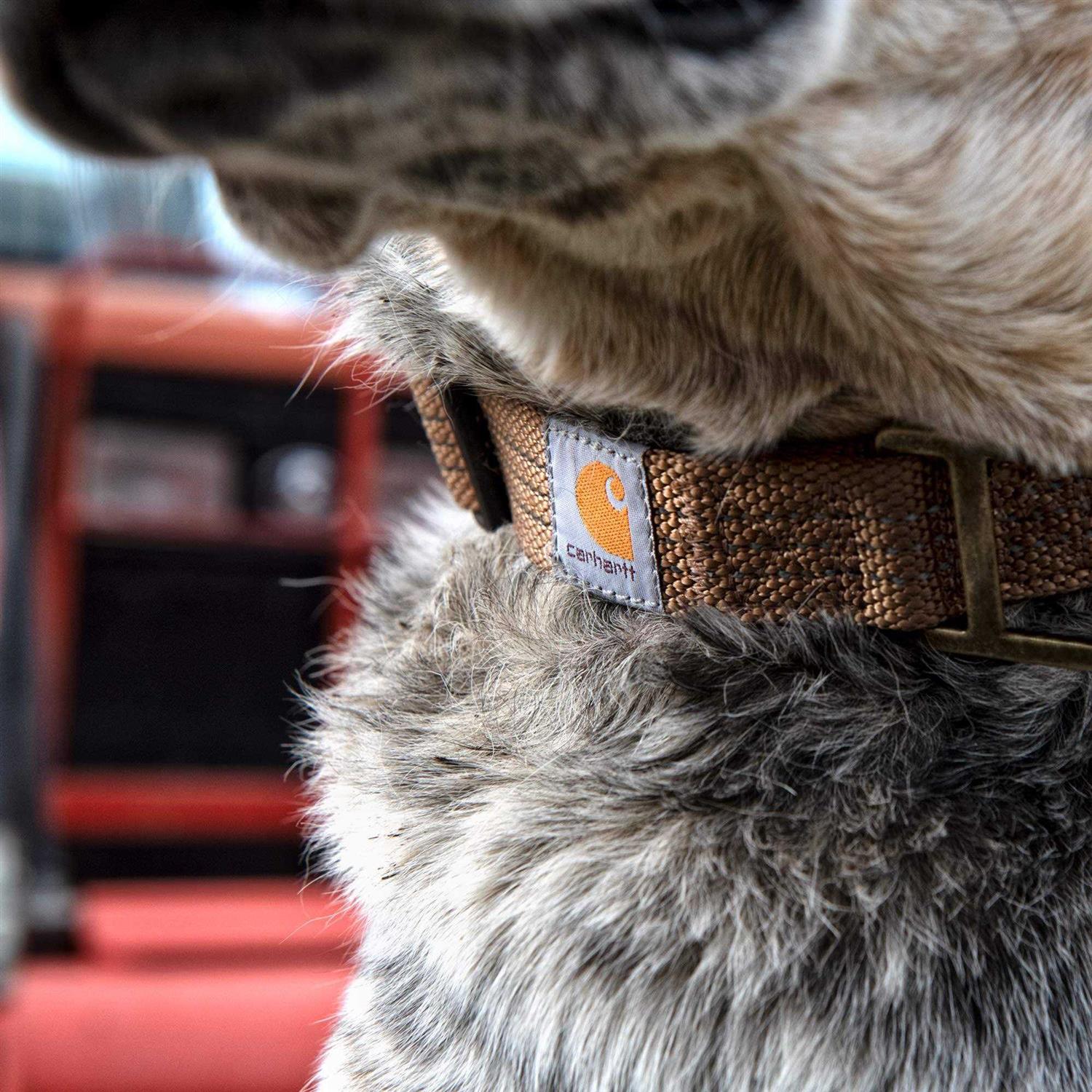 Carhartt Tradesman Dog Collar B902