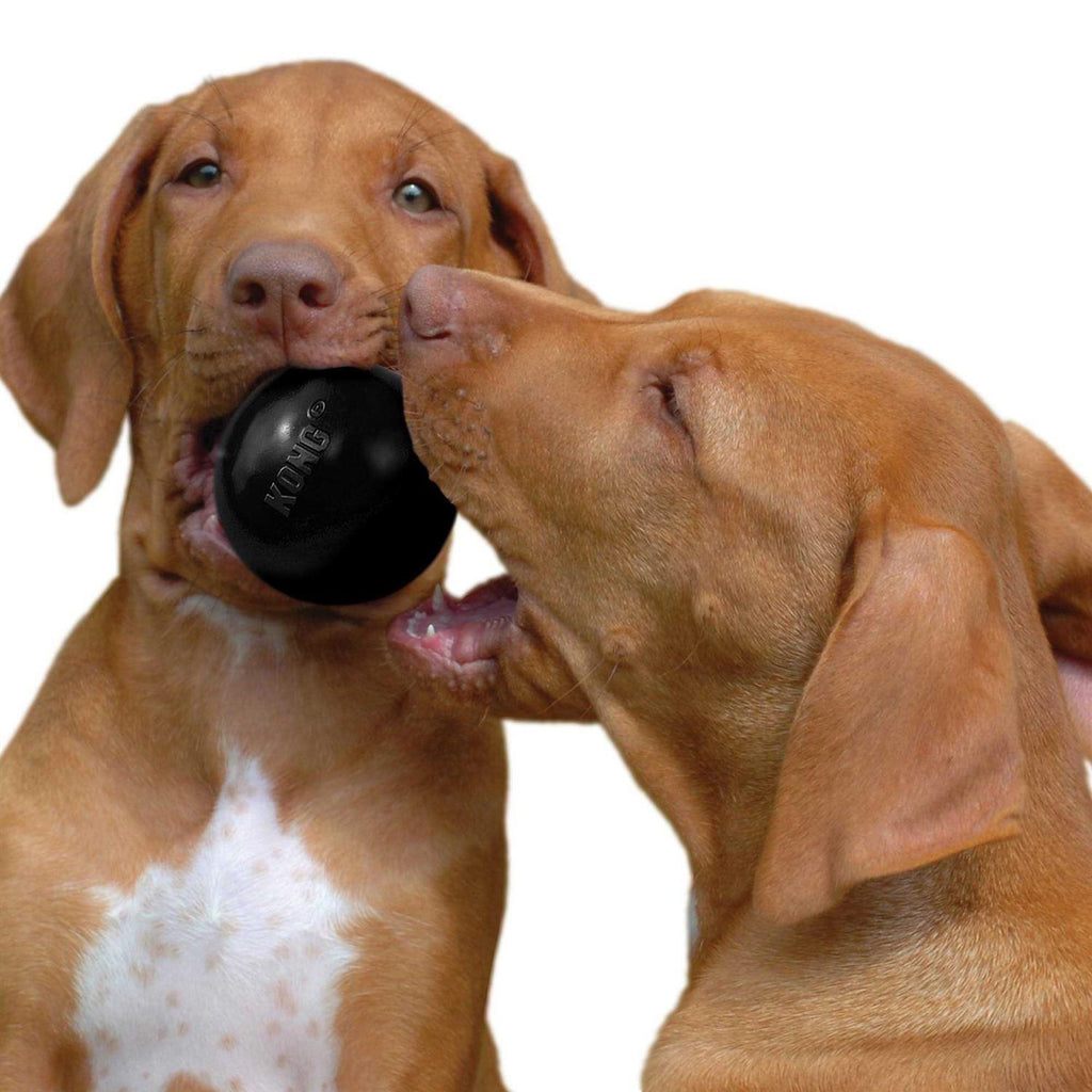 KONG Ball Dog Toy U138801