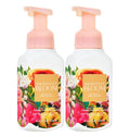 Gentle Foaming Hand Soap 8.75 Ounce 2-Pack J81105