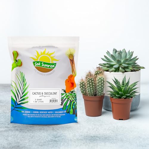 8 Quarts Cactus and Succulent Potting Mix J663883