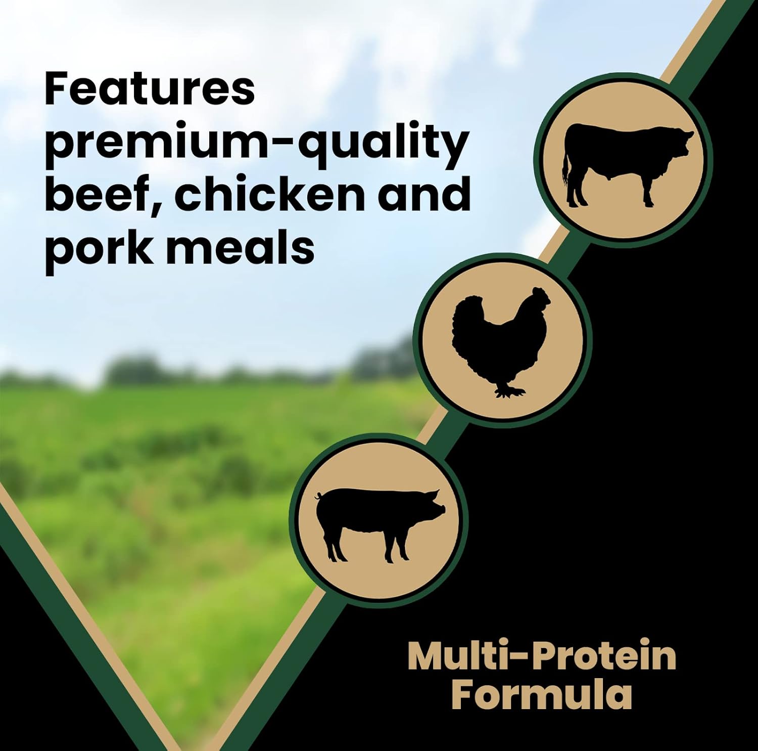 Performance Dry Dog Food, 26% Protein, 5lbs I481743