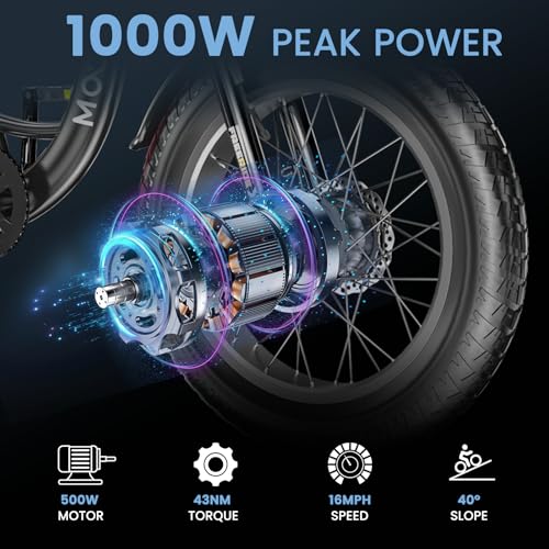Electric Tricycle, 20" x 4" Fat Tire, 48V 500W, 7 Speed, Aluminum Frame W16241