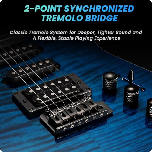 Black Solid Body Electric Guitar with 24 Frets R5356