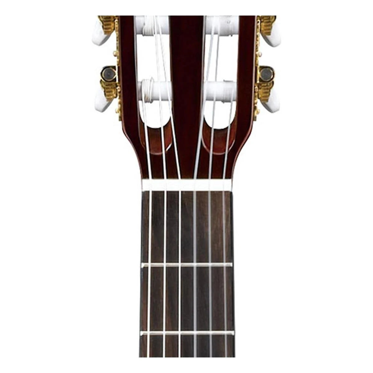 Classical Thinline Acoustic-Electric Guitar W1852