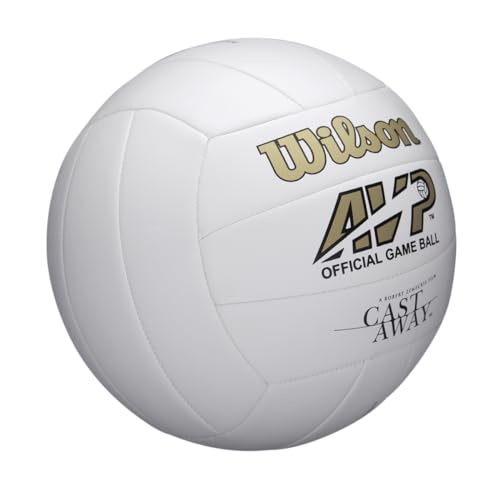Mini and Official Size Volleyballs N6651