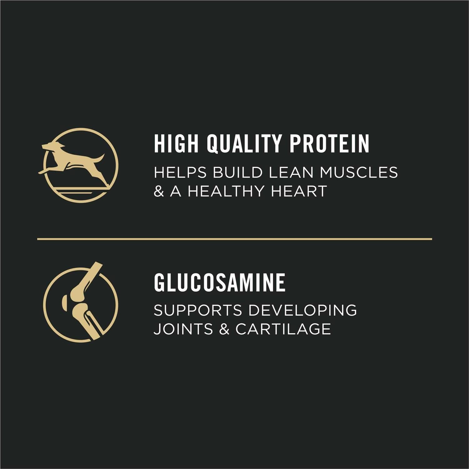 High Protein 30/18 Large Breed Chicken Puppy Food R209528