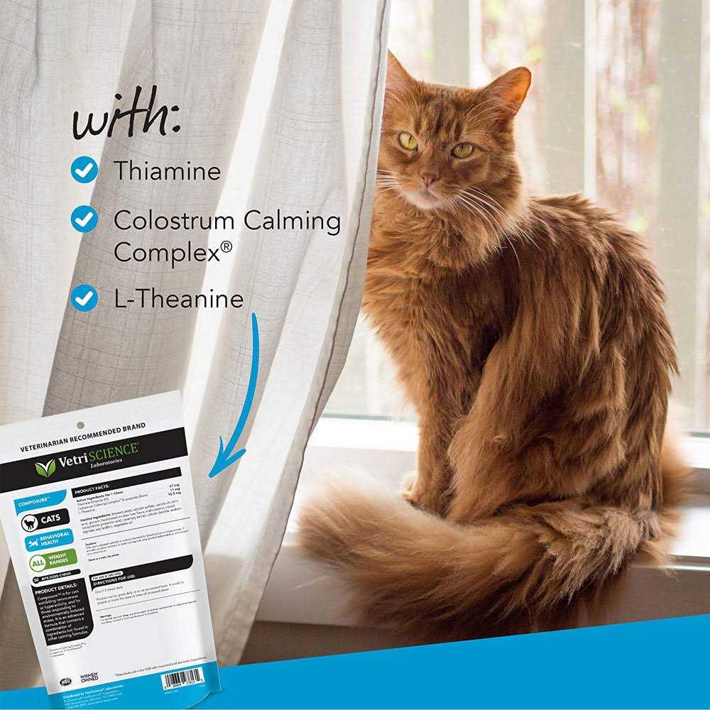 Composure for Cats T4617