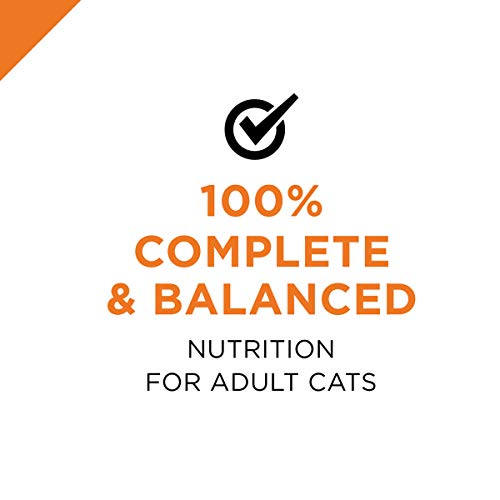 24 Pack 3 oz Wet Cat Food Salmon and Rice Entree in Sauce R6341