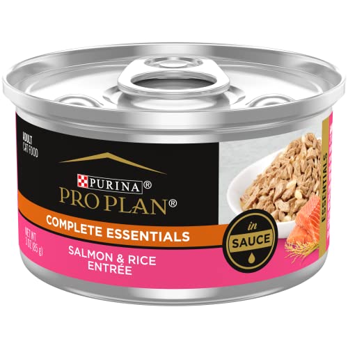 24 Pack 3 oz Wet Cat Food Salmon and Rice Entree in Sauce R6341