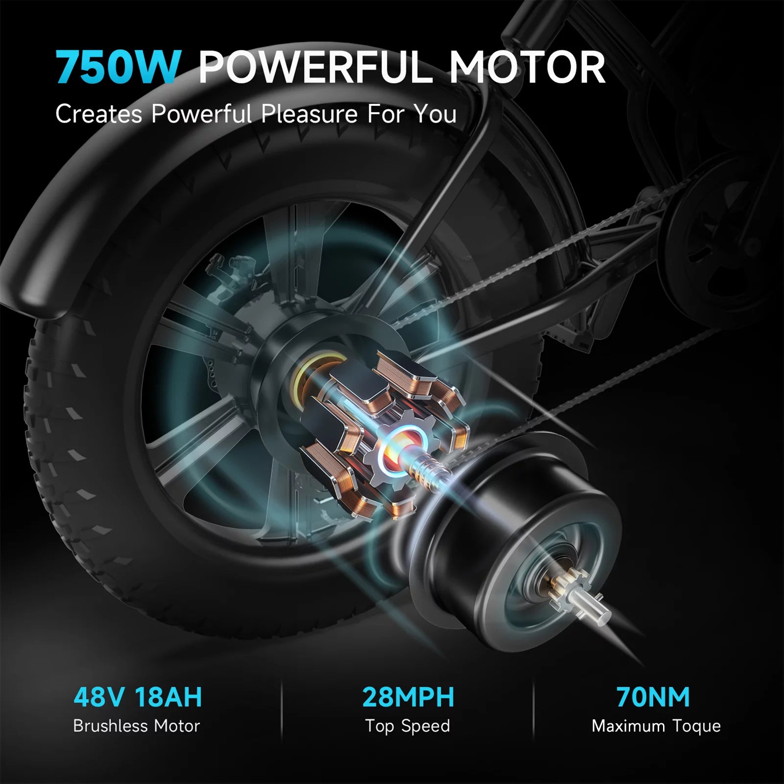 20*4.0'' Fat Tire Electric Bicycle 750W E-Bike with 48V 18Ah Removable Battery X1534