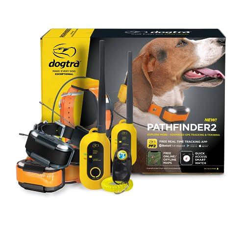 GPS Dog Training Collar with Remote, 9 Mile Range, Tracking D6931