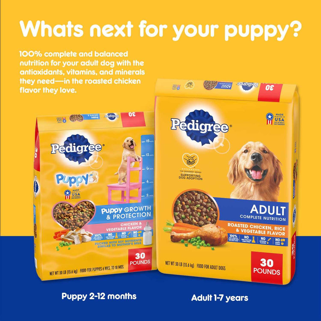 Pedigree Dry Dog Food Chicken & Vegetable Flavor R851544