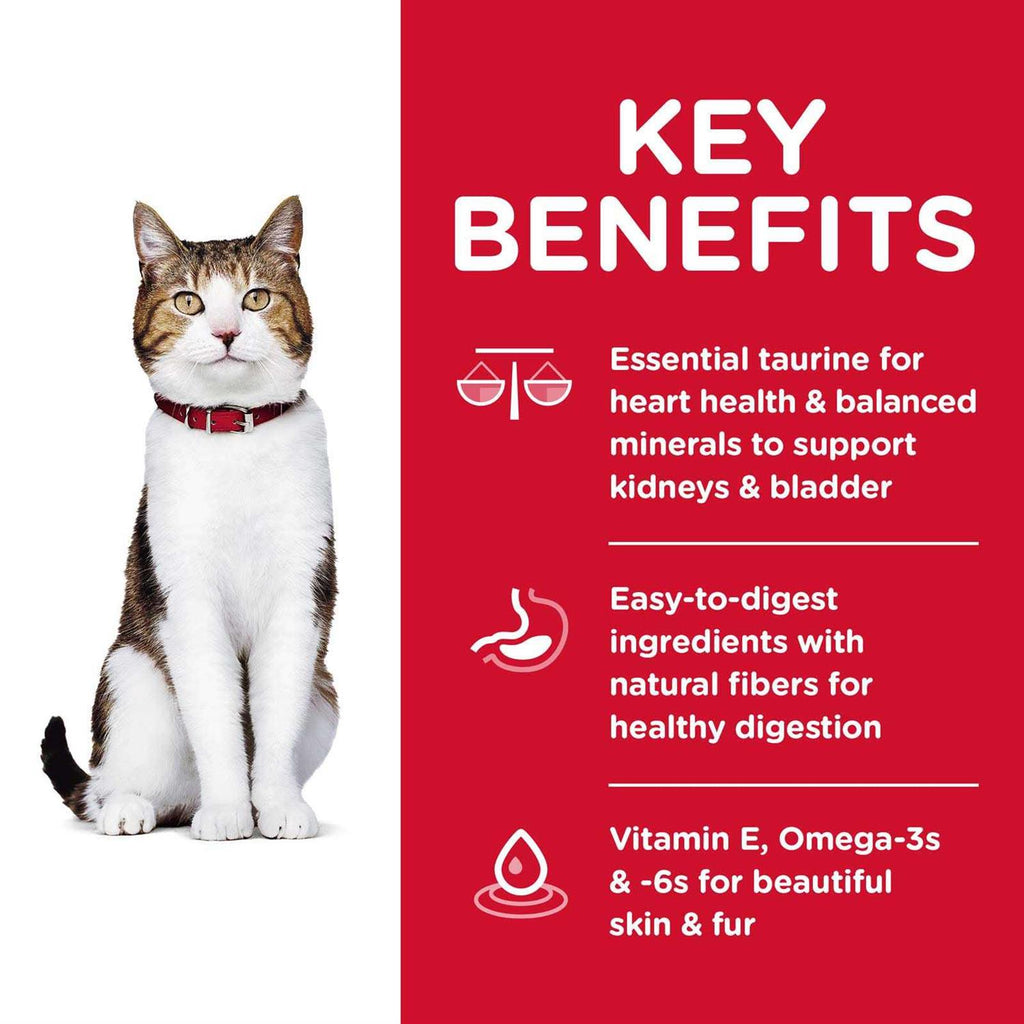 Adult 7+ Chicken Recipe Dry Cat Food B52820