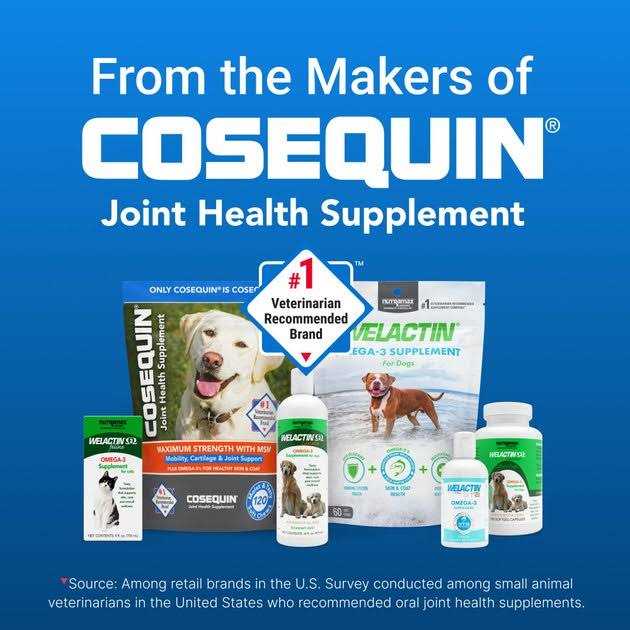 Omega-3 Supplement for Dogs X290701