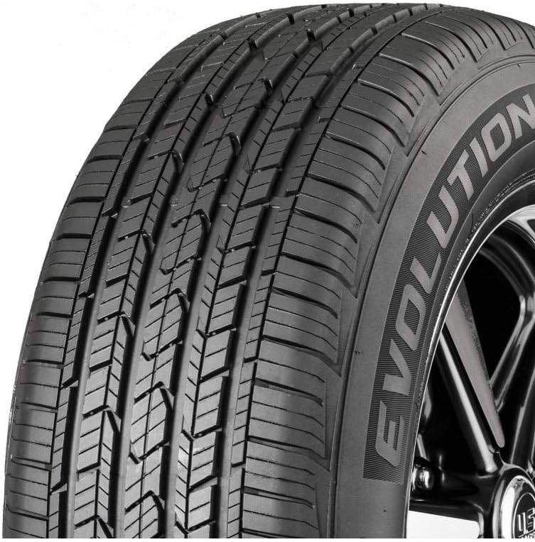 225/65R16 100T All-Season Tire M30333