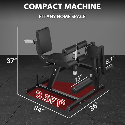 Adjustable Leg Extension and Curl Machine G472