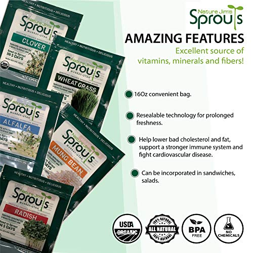 Certified Organic Broccoli Sprouting Seeds - 8oz N4969