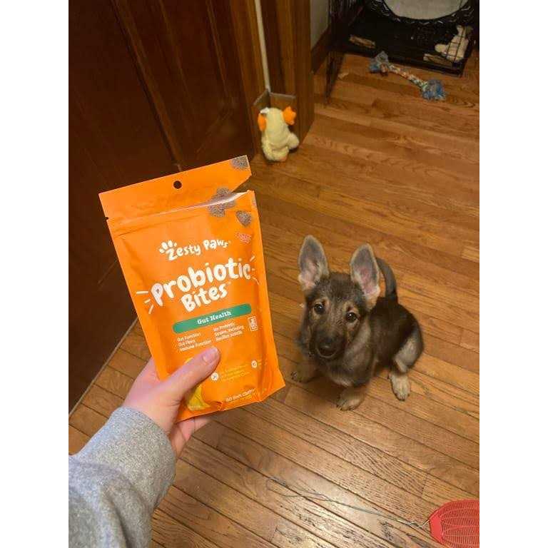 Probiotic Bites E224