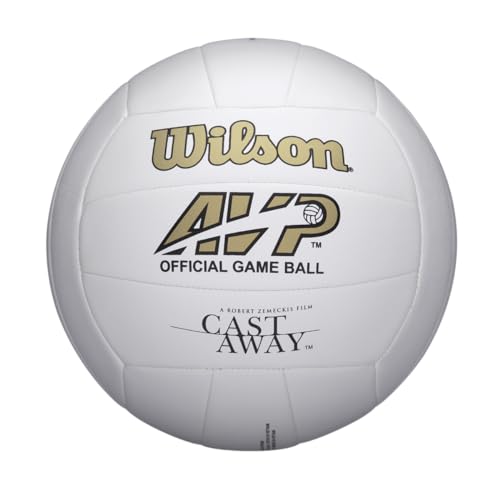 Mini and Official Size Volleyballs N6651
