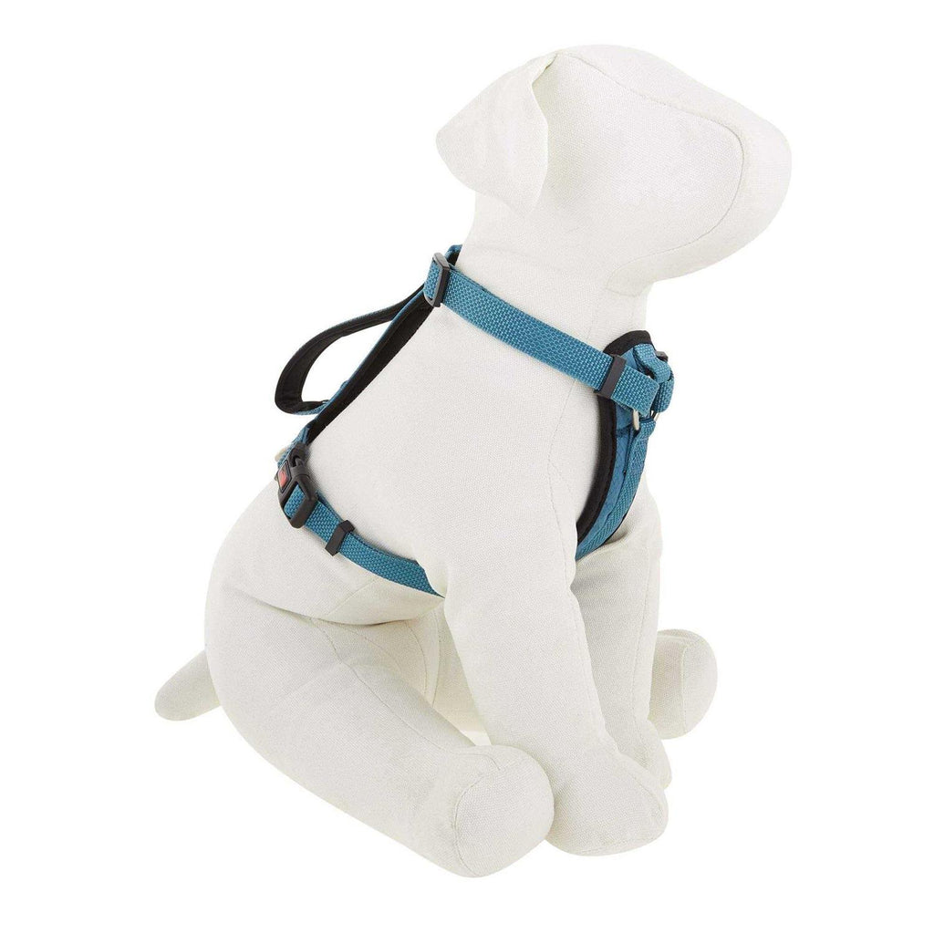 Padded Chest Plate Dog Harness C421556