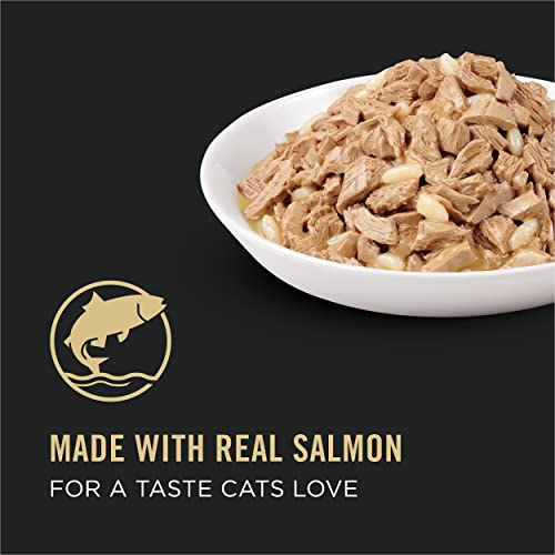 24 Pack 3 oz Wet Cat Food Salmon and Rice Entree in Sauce R6341