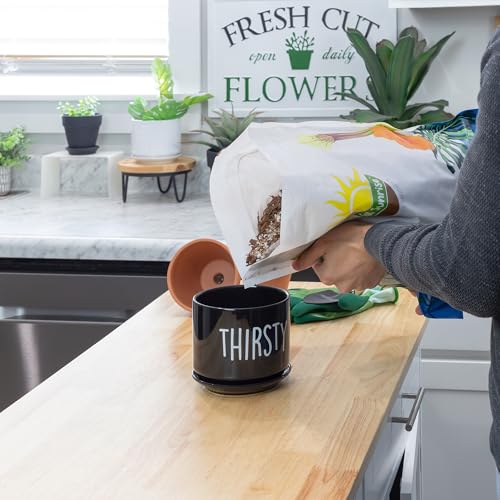 8 Quarts Cactus and Succulent Potting Mix J663883