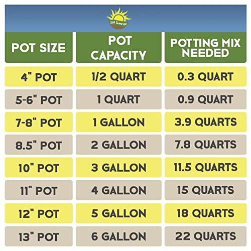 8 Quarts Cactus and Succulent Potting Mix J663883