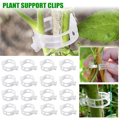 100Pcs Plant Support Clips J690230